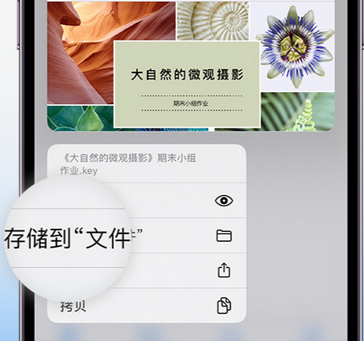 江阴apple维修中心分享iPhone文件应用中存储和找到下载文件