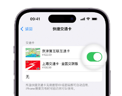 江阴apple维修点分享iPhone上更换Apple Pay快捷交通卡手绘卡面 