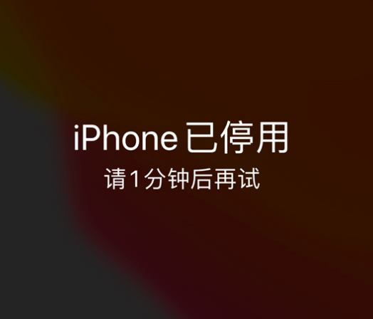 江阴苹果手机维修分享:iPhone 显示“不可用”或“已停用”怎么办？还能保留数据吗？ 