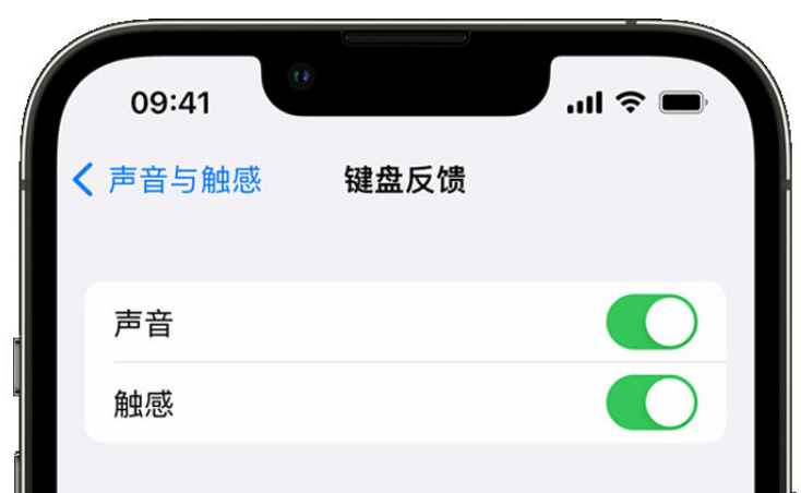 江阴苹果手机维修分享iPhone 14触感键盘使用方法 