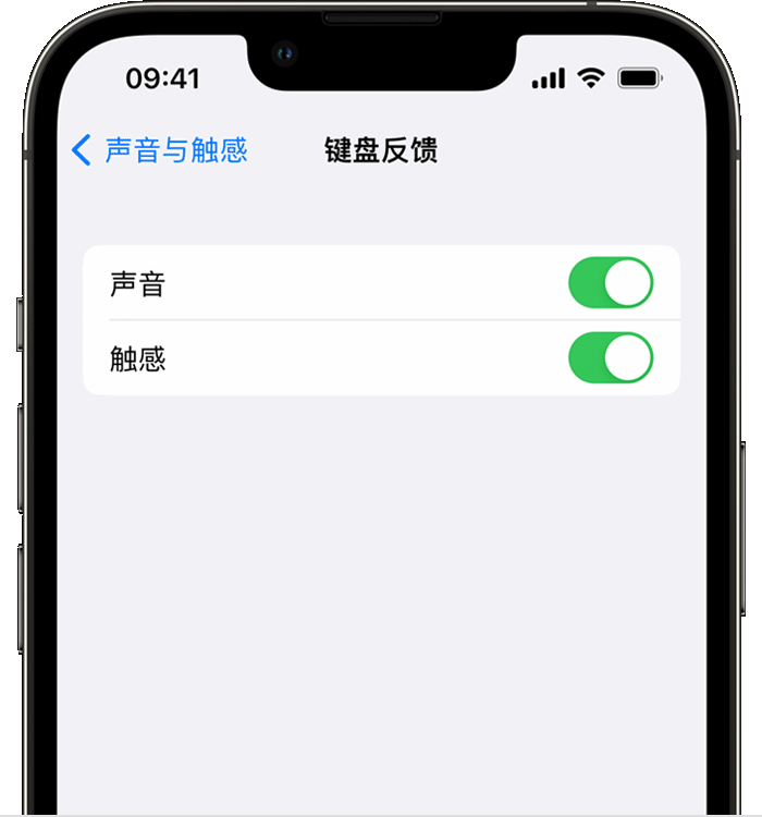 江阴苹果14维修店分享如何在 iPhone 14 机型中使用触感键盘 