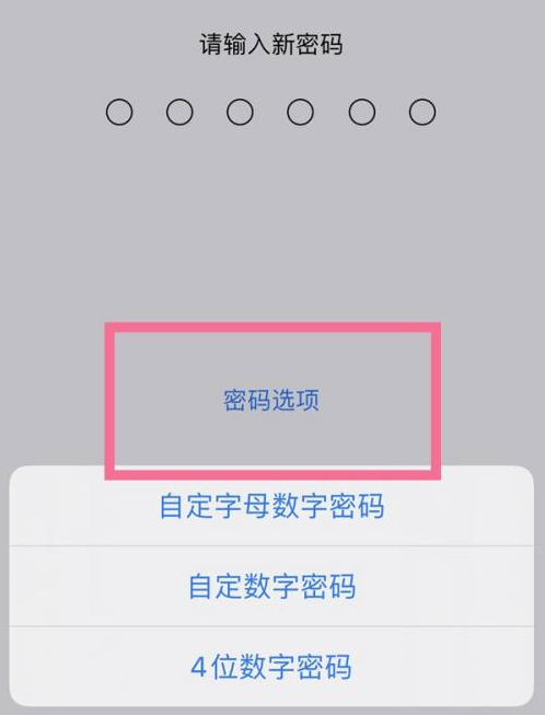 江阴苹果14维修分享iPhone 14plus设置密码的方法 