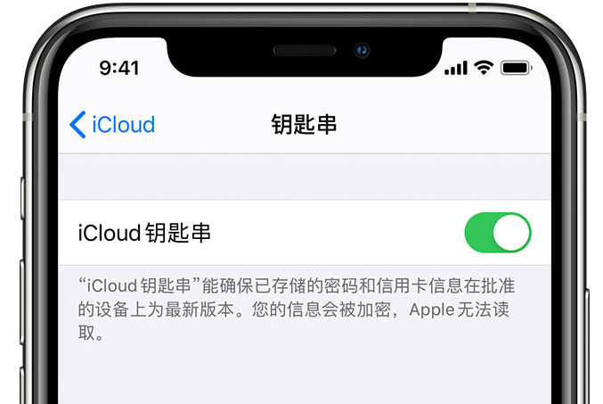 江阴苹果手机维修分享在 iPhone 上开启 iCloud 钥匙串之后会储存哪些信息 