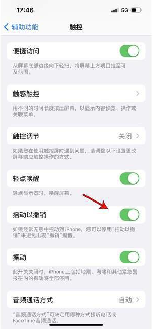 江阴苹果手机维修分享iPhone手机如何设置摇一摇删除文字 